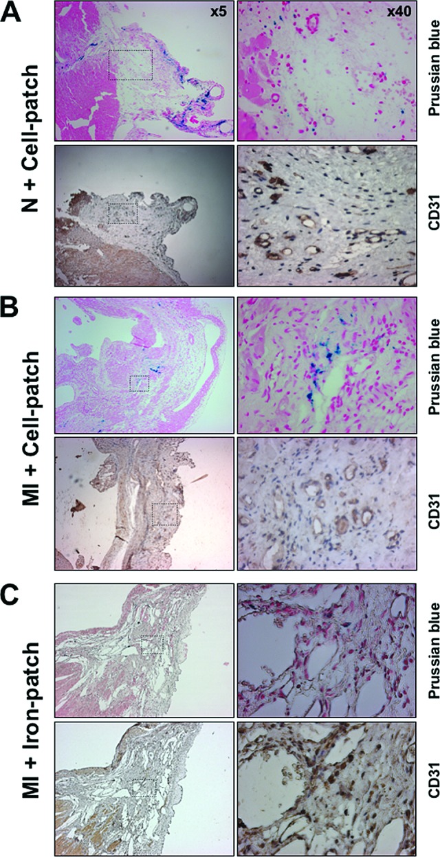 Figure 5.