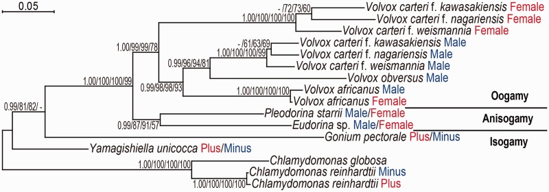 Fig. 3.