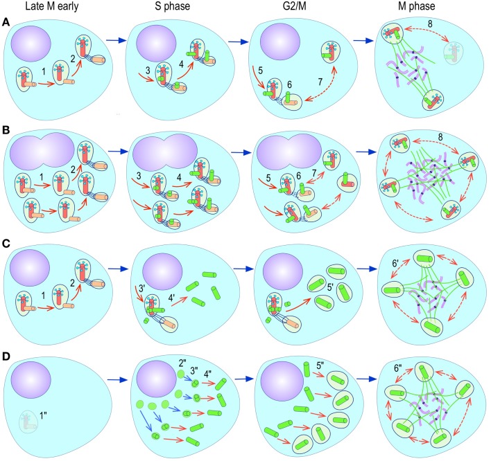 Figure 4