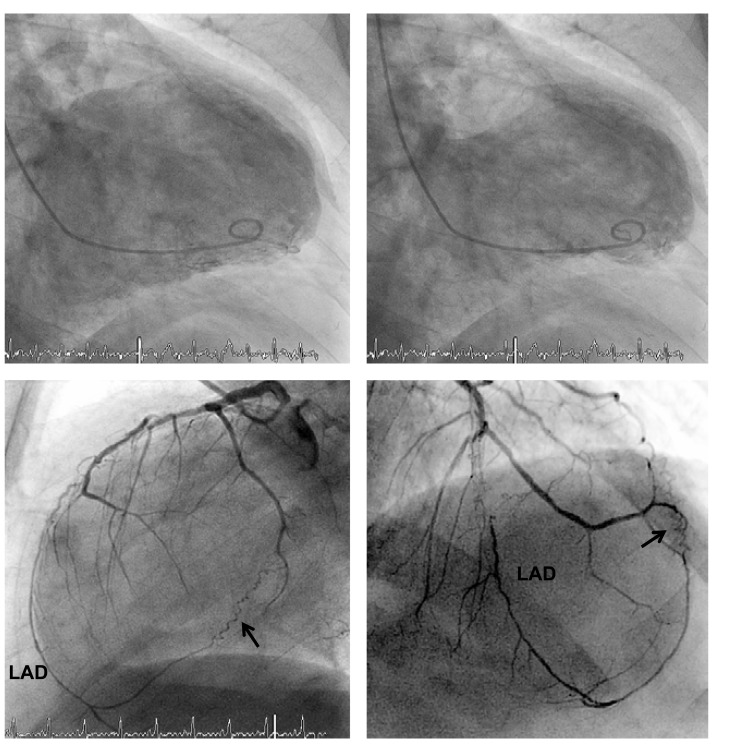 Fig. (7)