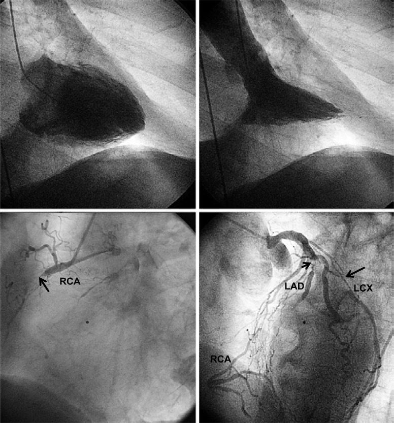 Fig. (3)