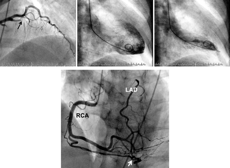 Fig. (5)