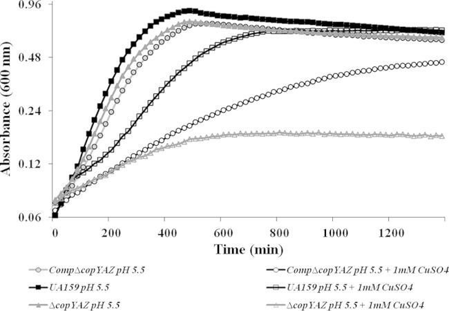 FIG 5