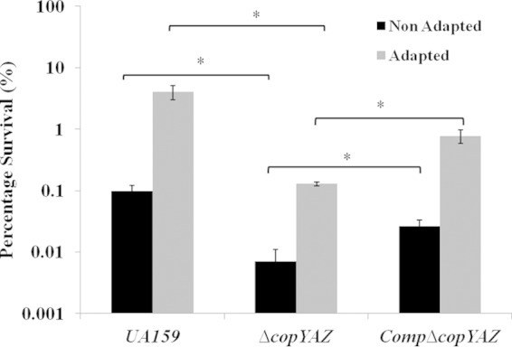 FIG 6