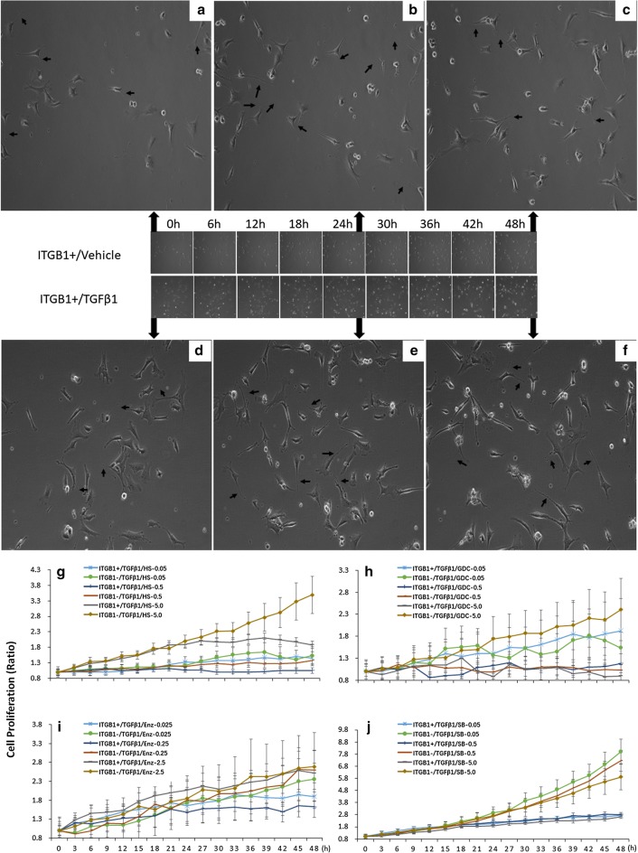 Fig. 4