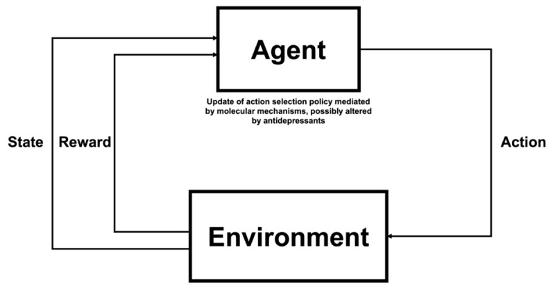 Schematic diagram illustrating the RL framework, showing that the agent receives information about the state they are in and the reward they have received from the environment, and adjusting their action selection policy based on this feedback