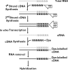 FIG. 1.