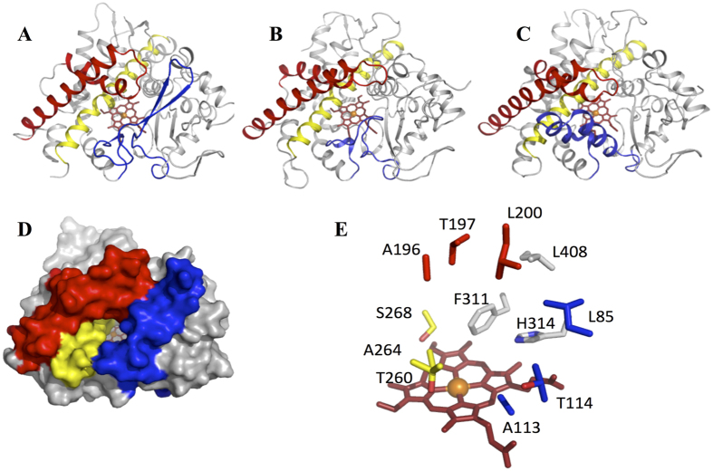 Figure 7