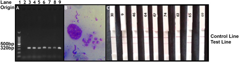 Fig 2