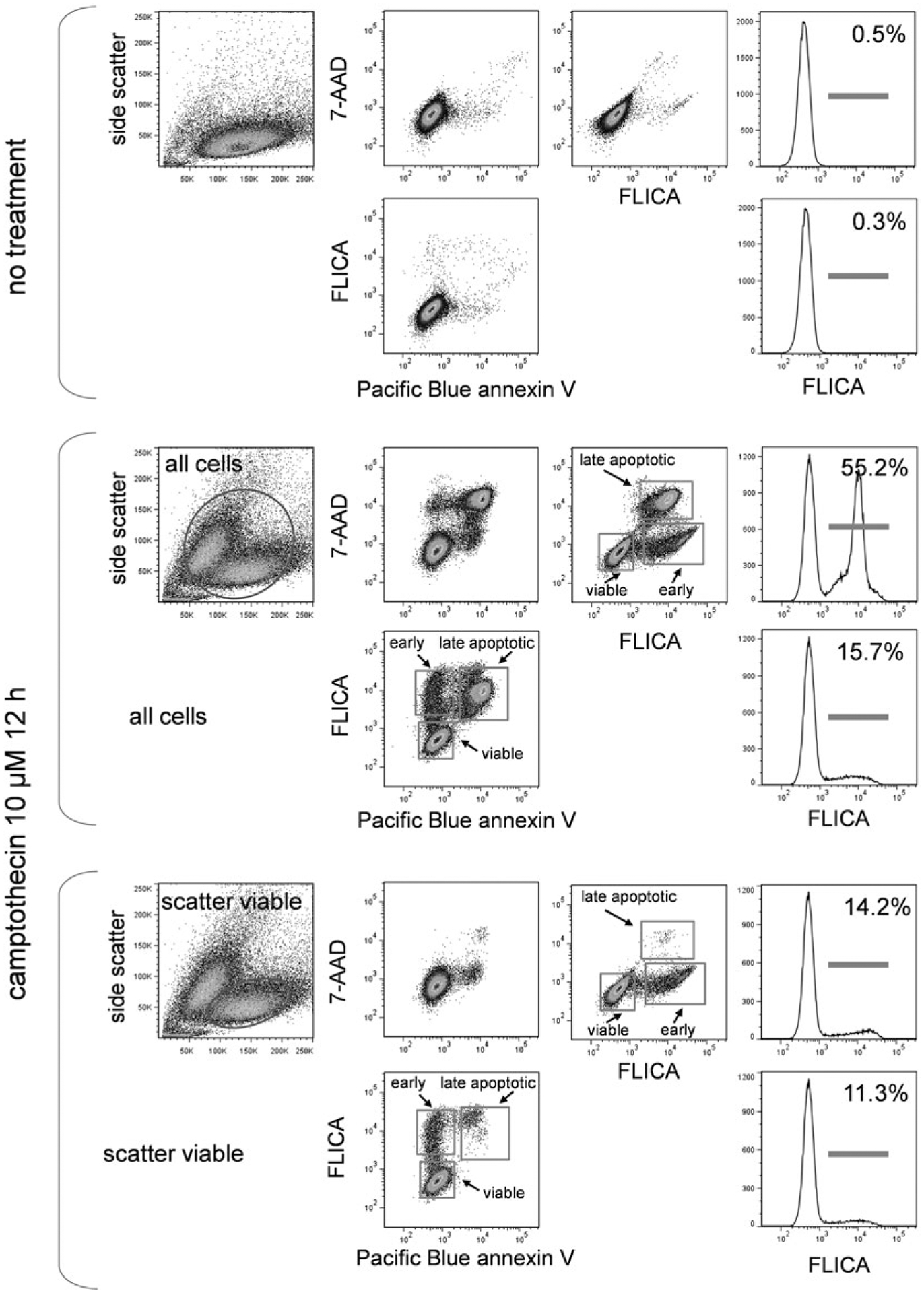 Fig. 7