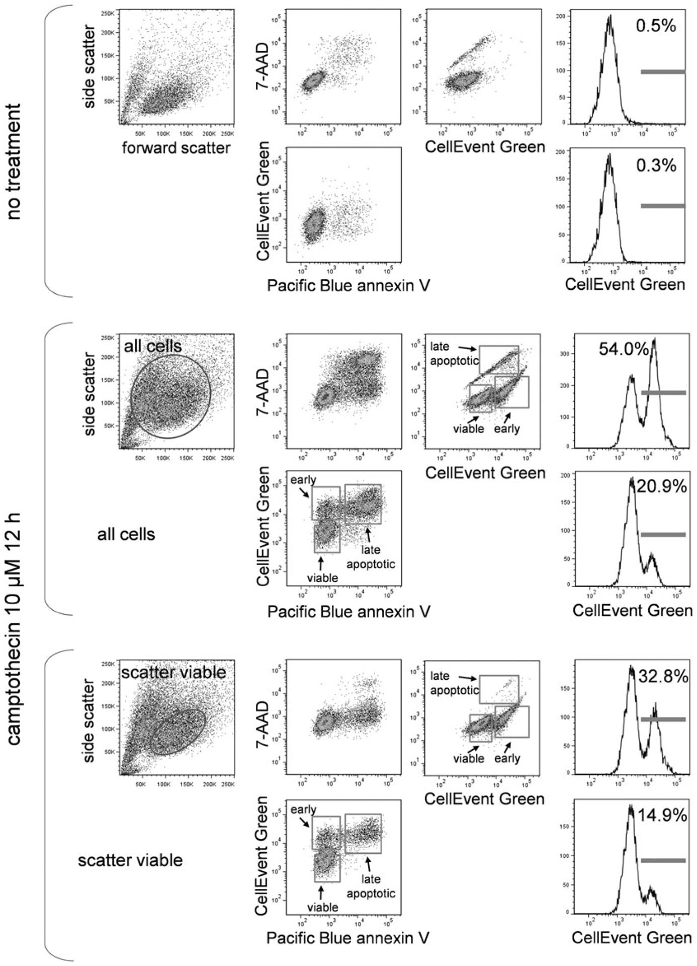 Fig. 8