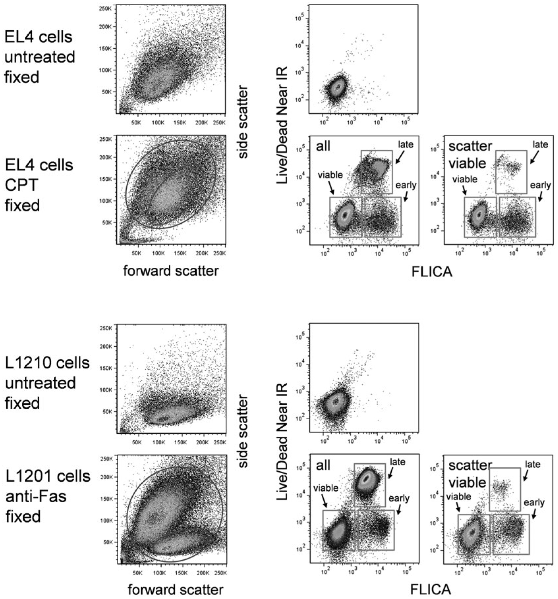 Fig. 9