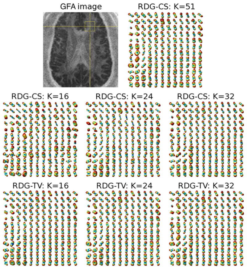 Fig. 10