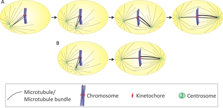 FIGURE 6: