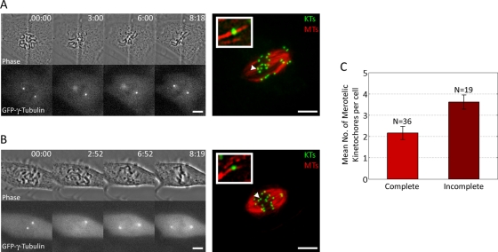 FIGURE 3: