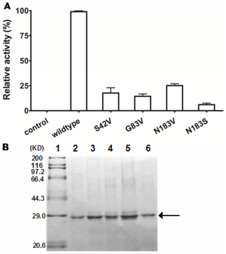 Figure 6