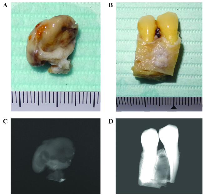 Figure 4.