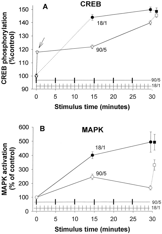 Fig. 10.