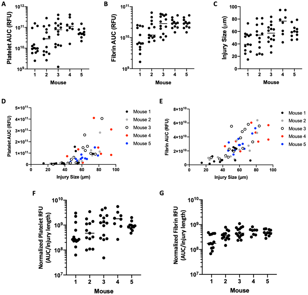 Figure 2: