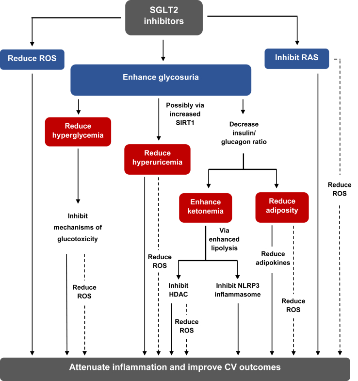 Figure 1