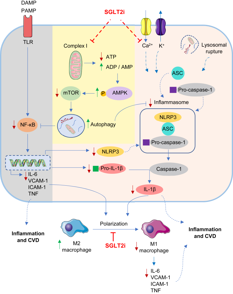 Figure 2