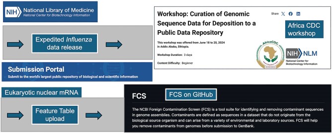 Graphical Abstract