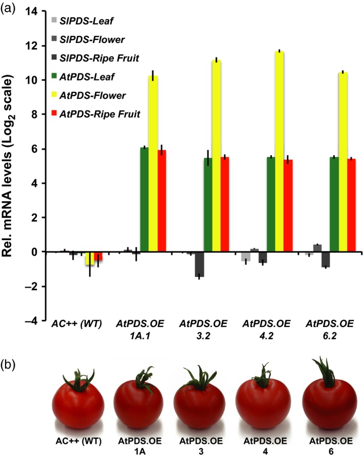 Figure 2