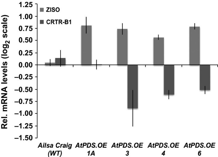 Figure 6