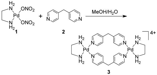 Scheme 2