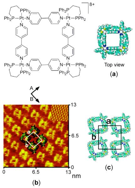 Figure 41