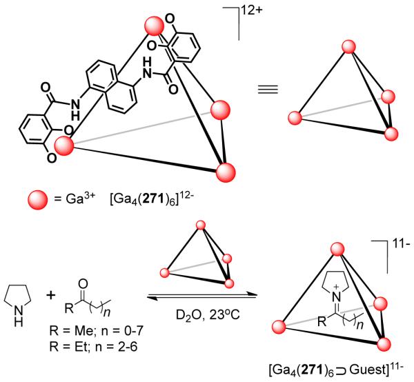 Scheme 131