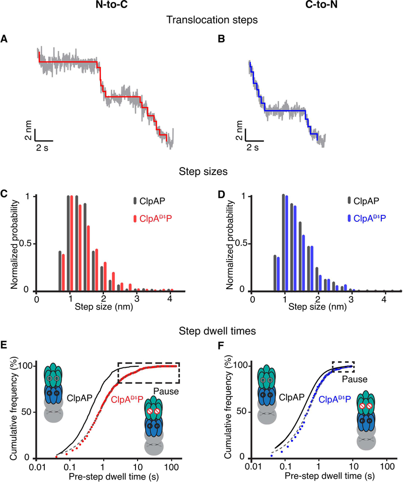 Figure 5: