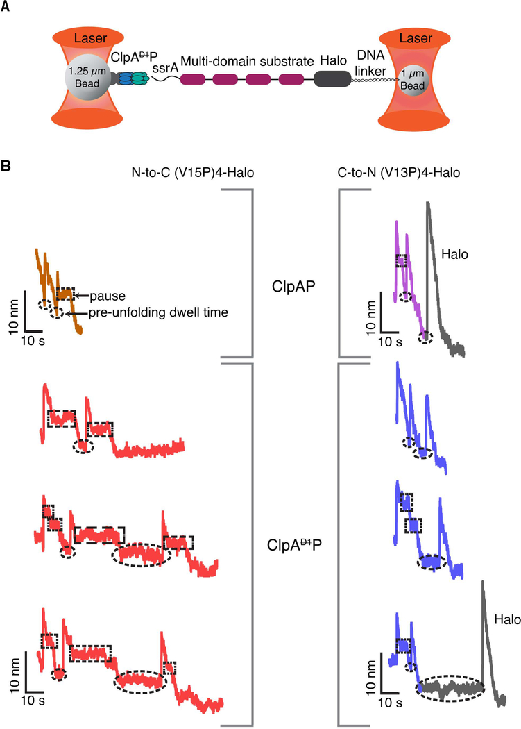 Figure 2: