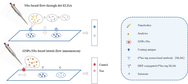 graphic file with name nihms-1736467-f0001.jpg