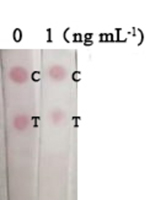 graphic file with name nihms-1736467-t0007.jpg