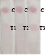 graphic file with name nihms-1736467-t0028.jpg