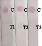 graphic file with name nihms-1736467-t0034.jpg