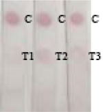 graphic file with name nihms-1736467-t0022.jpg