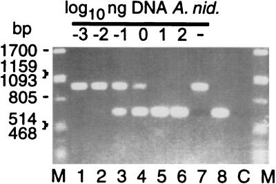 FIG. 7