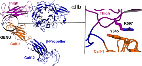 FIGURE 1.