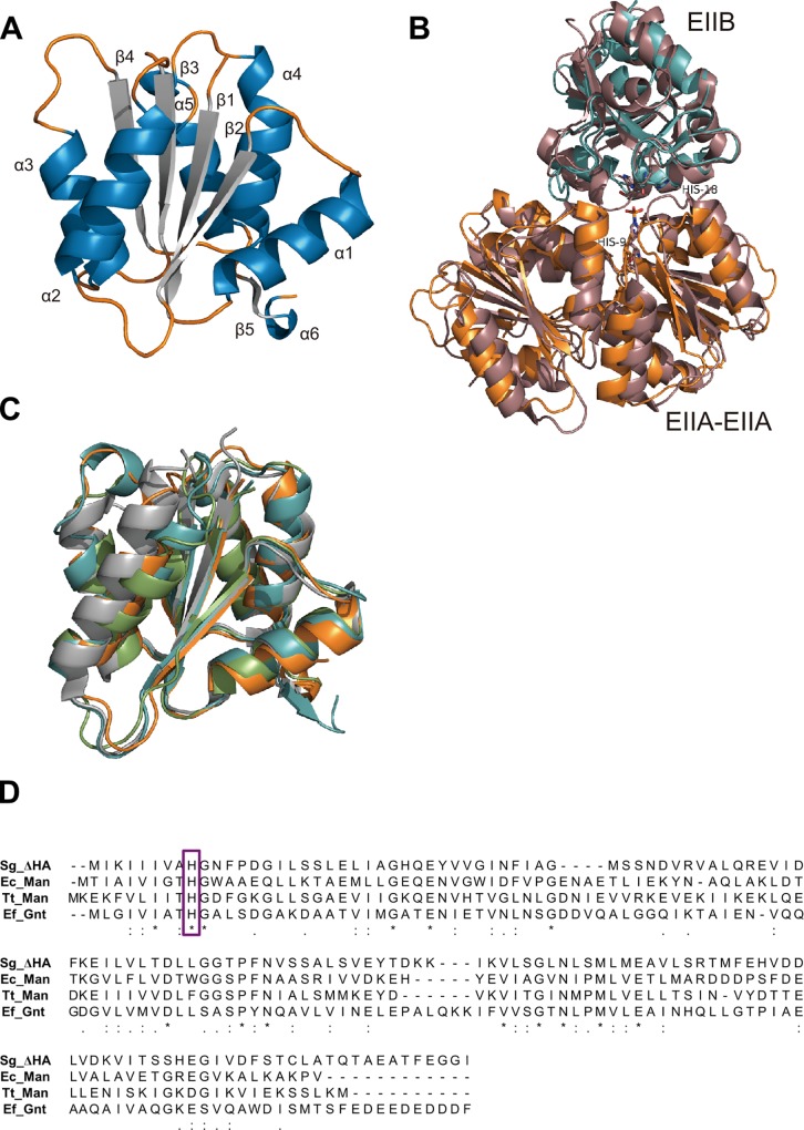 Fig 5