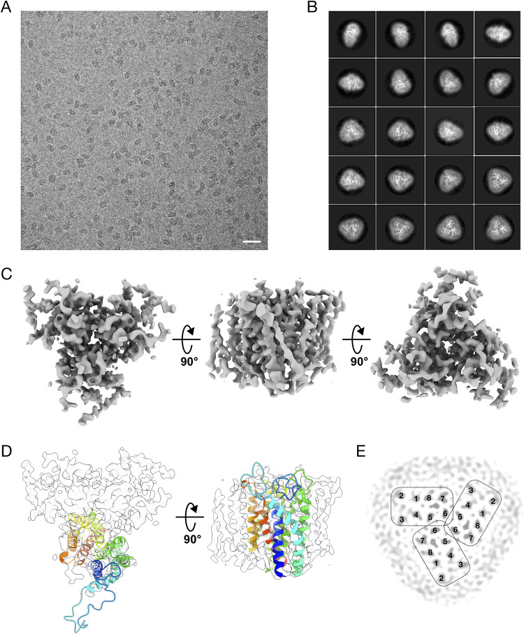 FIG 2