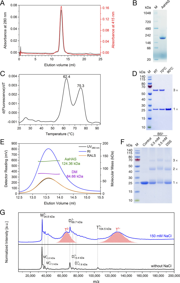 FIG 1