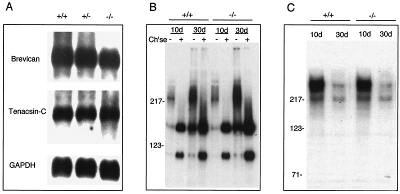 FIG. 5