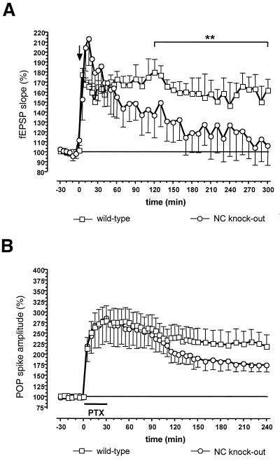 FIG. 6