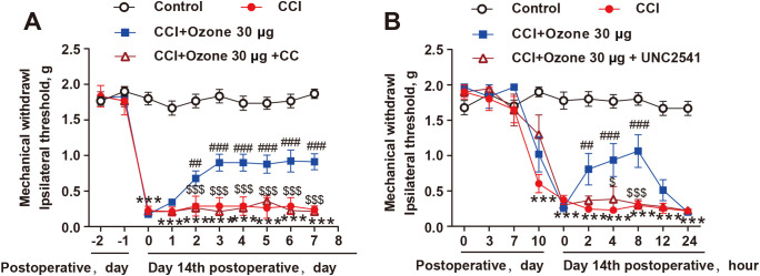 Figure 6