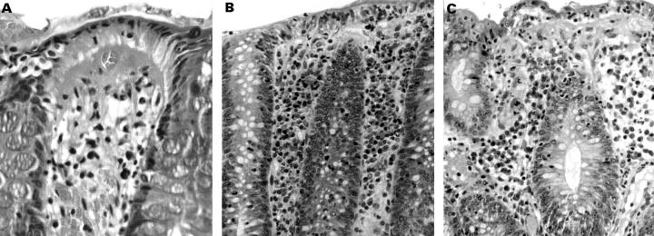 Figure 1  