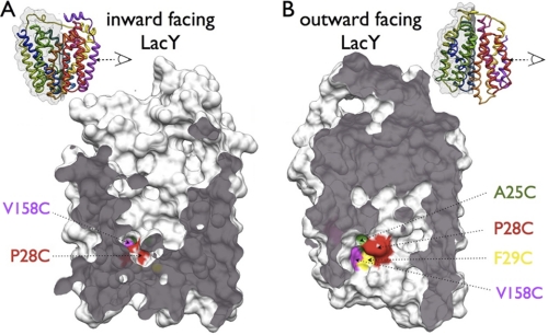 FIGURE 9.