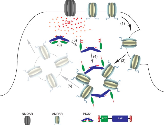 Figure 10.