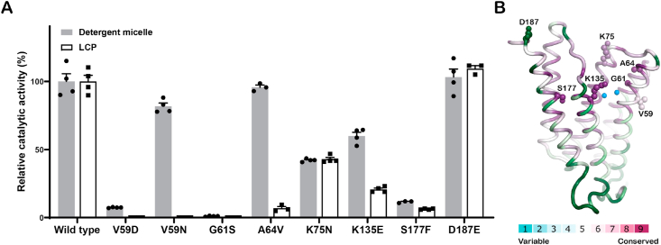 Fig. 6